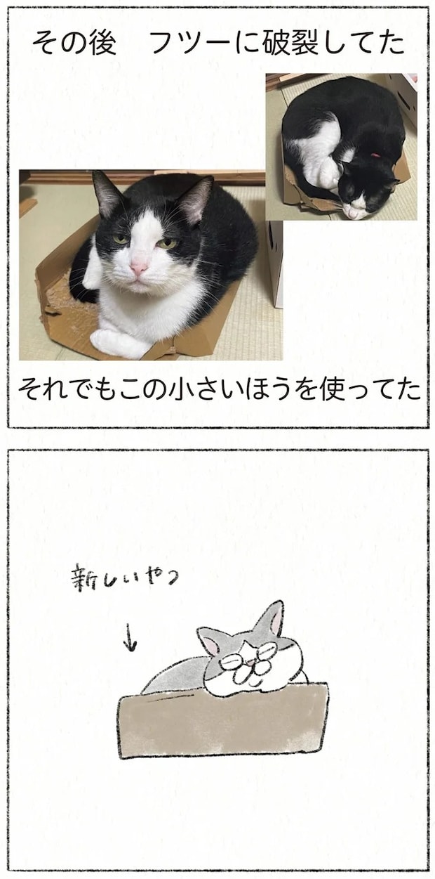 33.webp