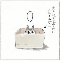 もはや入れてないだろ...。愛猫が「みちみち小さい段ボール箱」を好きすぎる／うちの猫は今日も塩対応