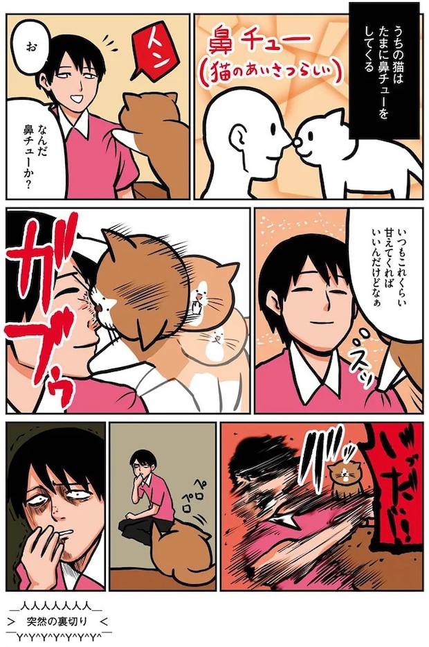 16268756.webp