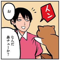 猫が鼻チューと見せかけて...。突然の裏切りに飼い主は／鴻池剛と猫のぽんた 1-3