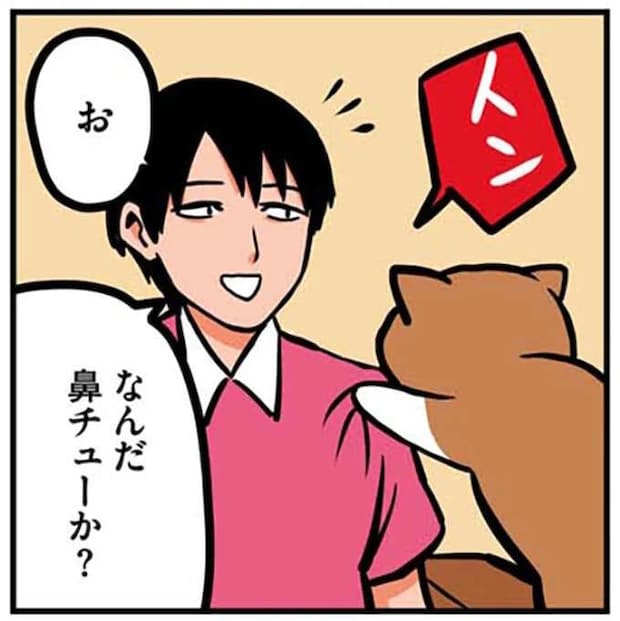 猫が鼻チューと見せかけて...。突然の裏切りに飼い主は/鴻池剛と猫のぽんた 1-3
