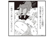 「寝つけない、すぐ目が覚める」の繰り返し。アラフィフ更年期の睡眠問題／今夜もホットフラッシュ