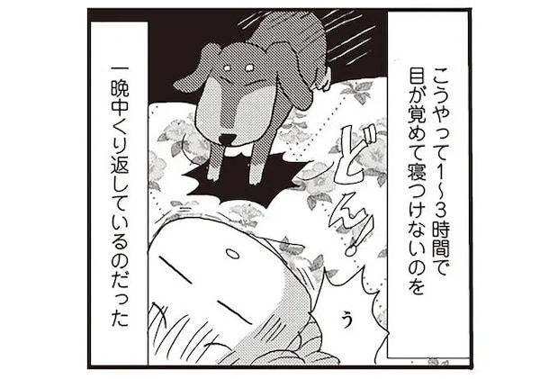 「寝つけない、すぐ目が覚める」の繰り返し。アラフィフ更年期の睡眠問題／今夜もホットフラッシュ