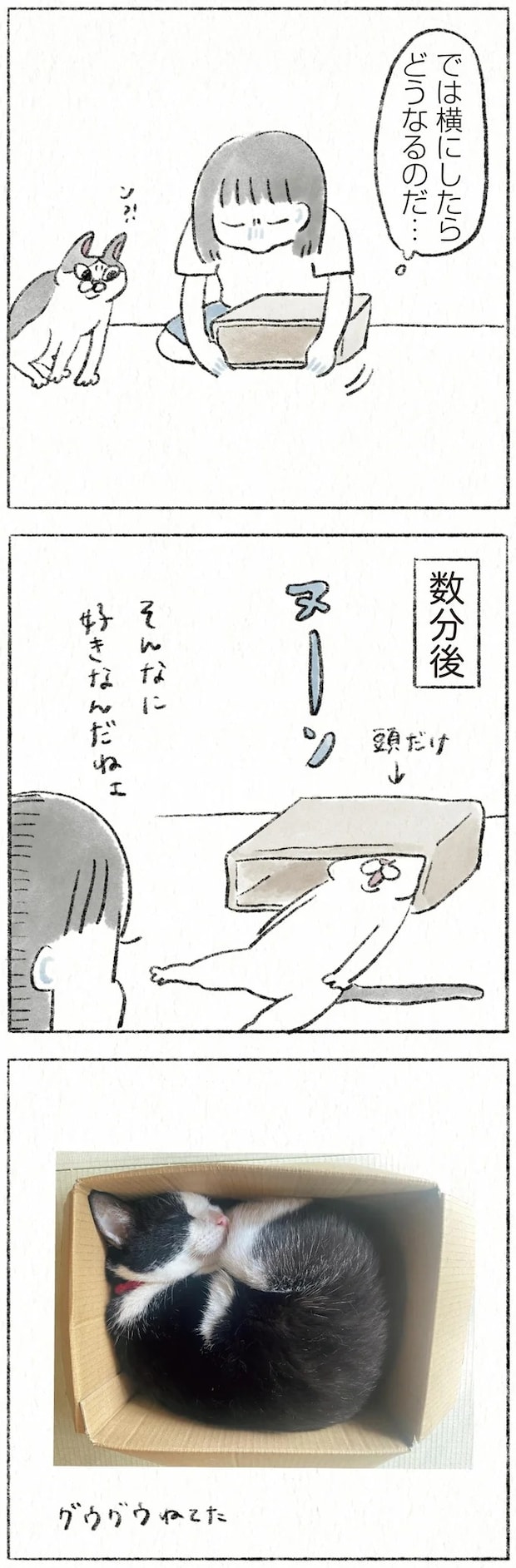 42.webp