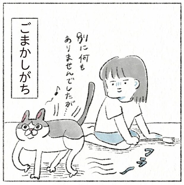 猫は失敗すると「別に...」みたいな態度でごまかしがち。さらに...！／うちの猫は今日も塩対応
