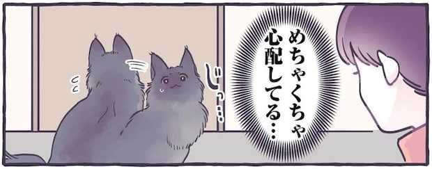 猫が「めちゃくちゃ心配してる」理由は? 幼い息子がトイレで.../るしこの子育て日記4