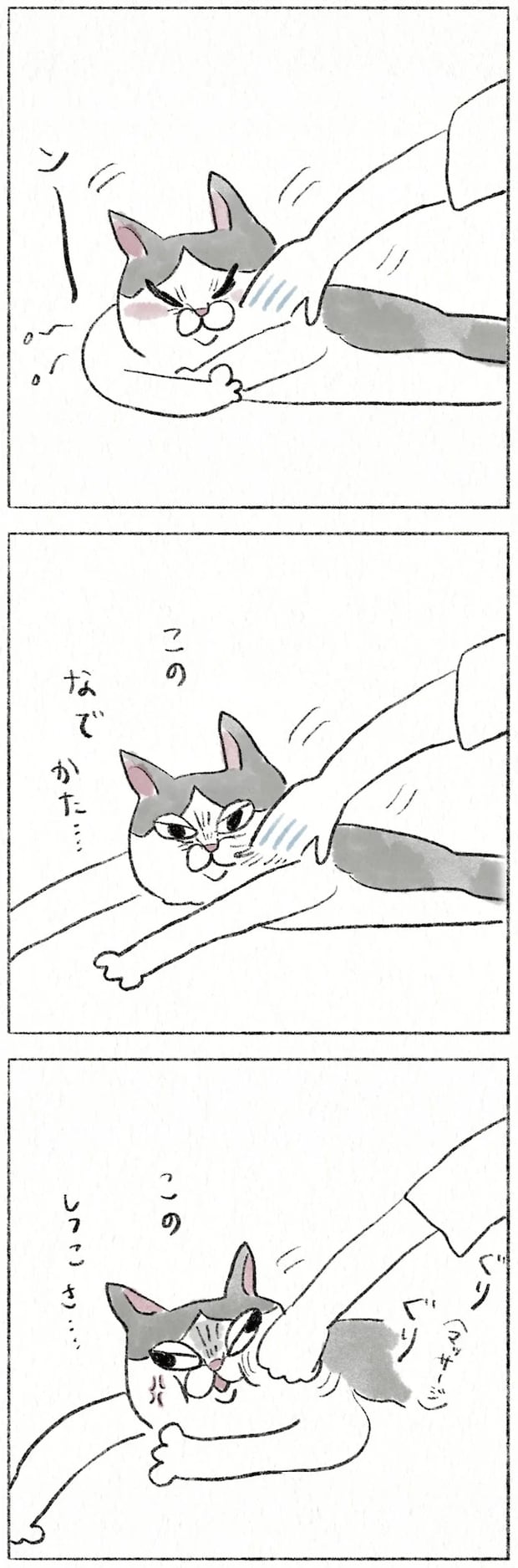 62.webp
