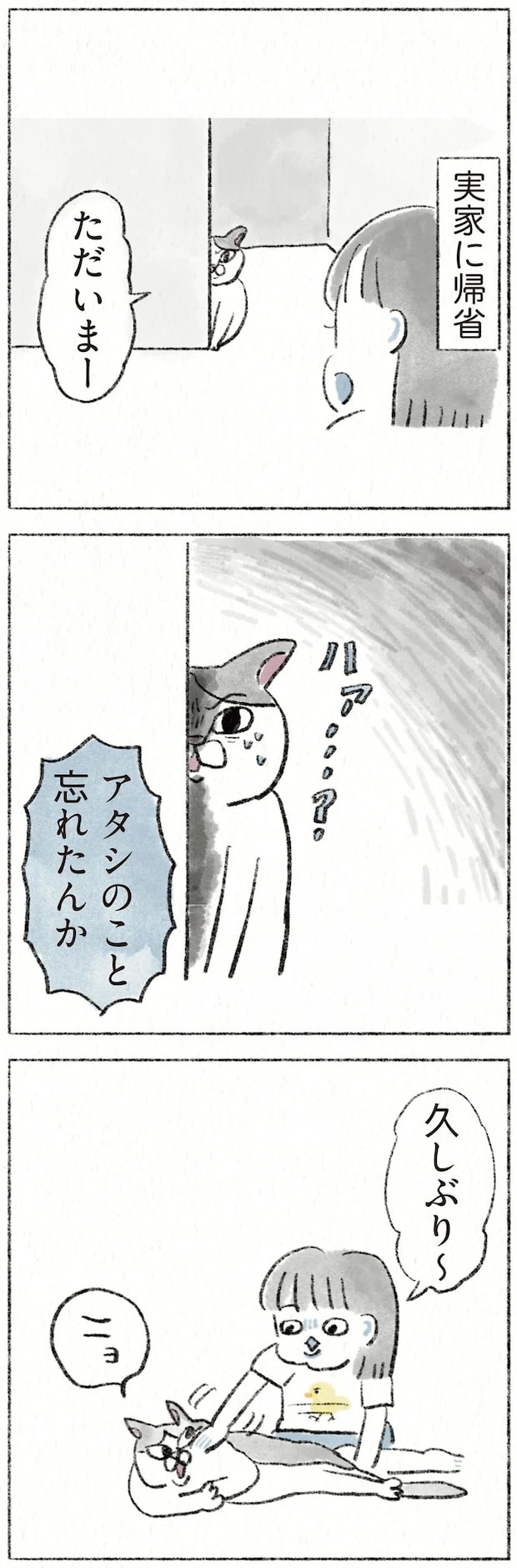 61.webp