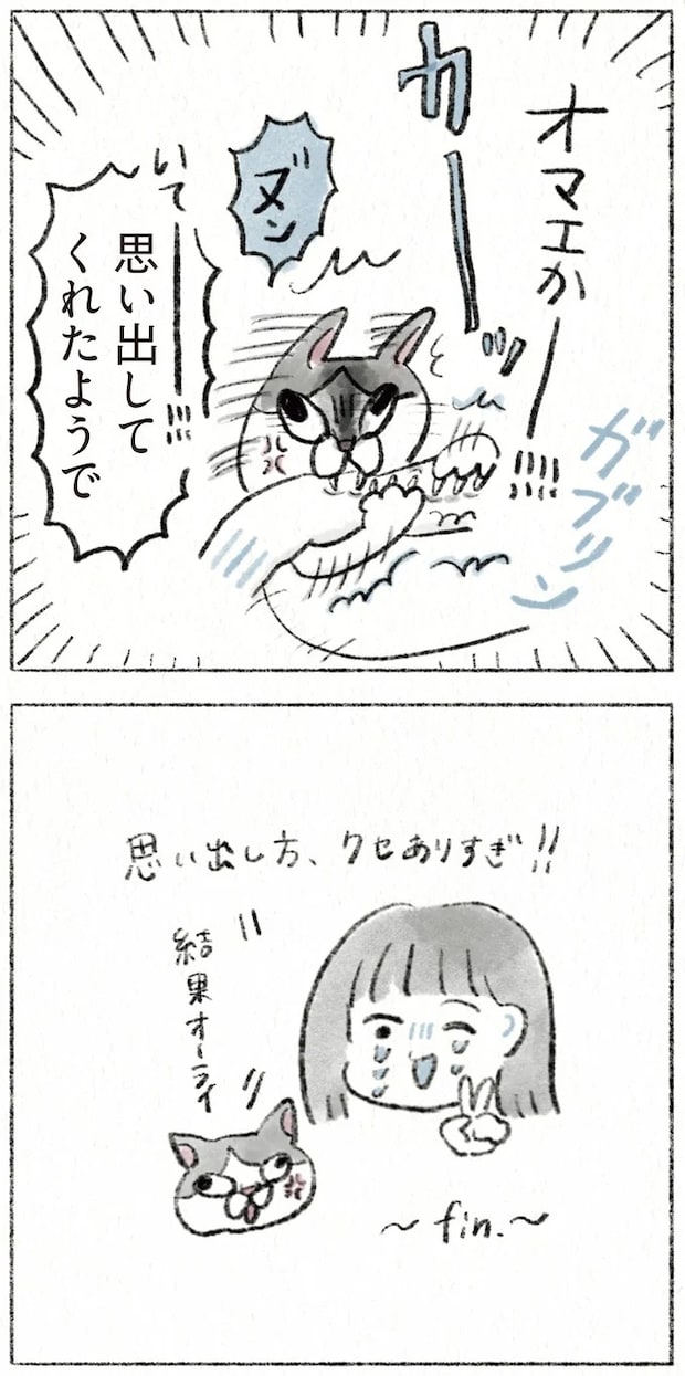63.webp