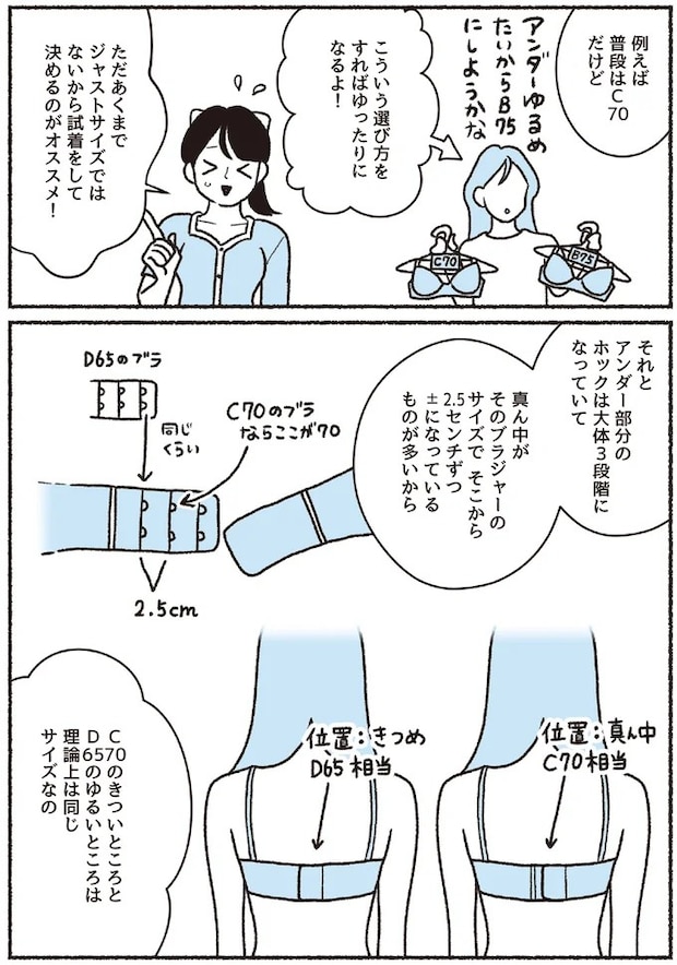 16394561.webp