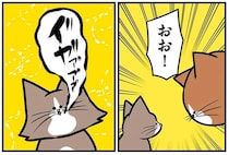 先住猫から新入り猫への「洗礼」。ファーストコンタクトで...えええ？／鴻池剛と猫のぽんた 1-3