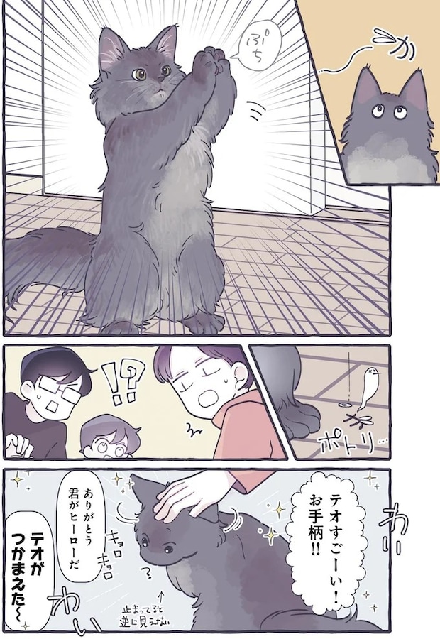 582.webp