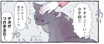 おてがら猫！ 家族が退治できなかった蚊を...そんなことできるの!?／るしこの子育て日記4