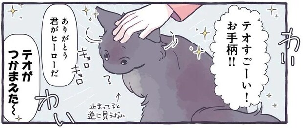 おてがら猫! 家族が退治できなかった蚊を...そんなことできるの!?/るしこの子育て日記4