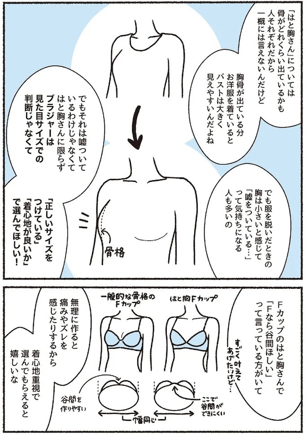 16394486.webp