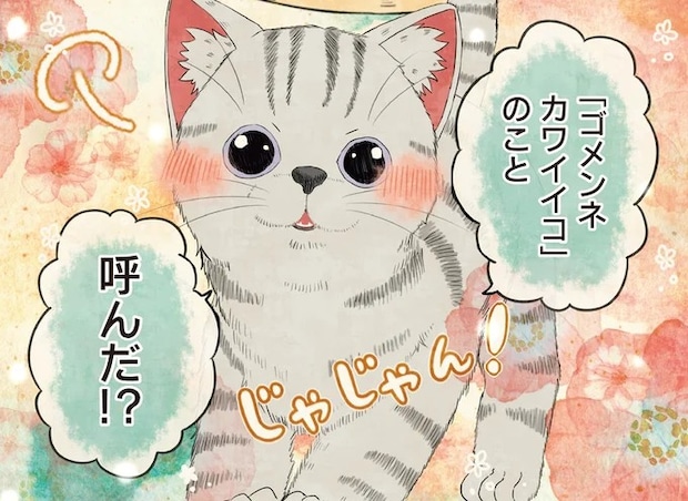 雨の中、独りだった子猫。優しい女性が最期に送った名前を天国で名乗りたい!/自分の名前を勘違いしている子
