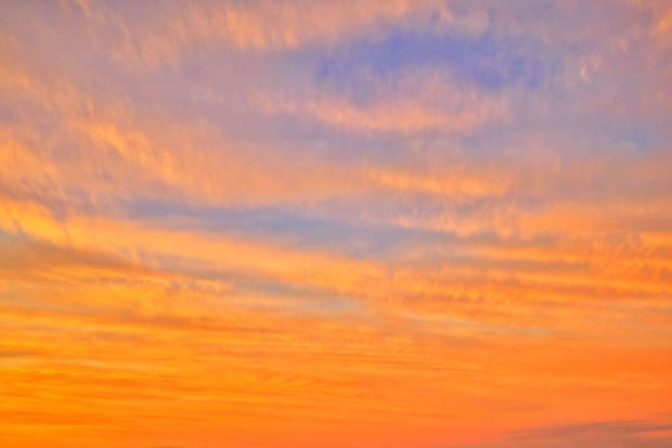 pixta_135021263_M.jpg