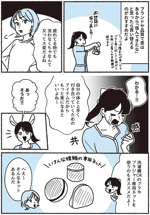 16394298.webp