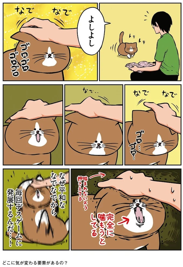 16268933.webp