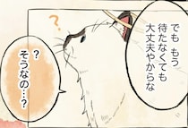飼い主を「ええ子」で待っていた猫。再会して贈られた新しい名前がうれしくて／自分の名前を勘違いしている子