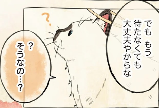 飼い主を「ええ子」で待っていた猫。再会して贈られた新しい名前がうれしくて／自分の名前を勘違いしている子