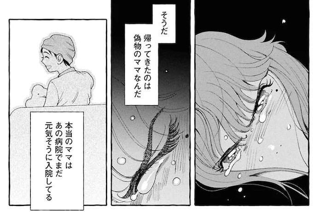 病気のせいで別人のようになった母...その容態を認めたくない中学生の必死の抵抗/ぷくちょらりファミリア