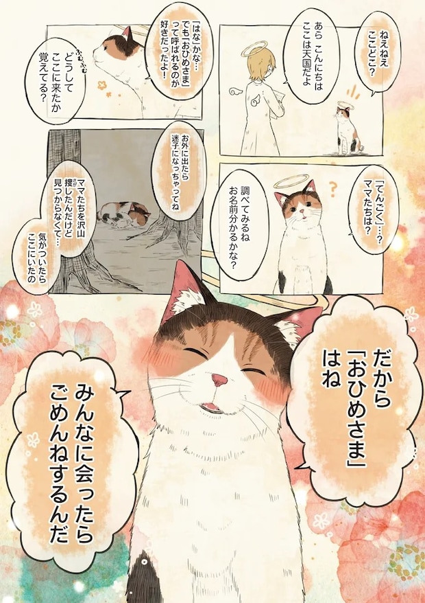 06-01.webp