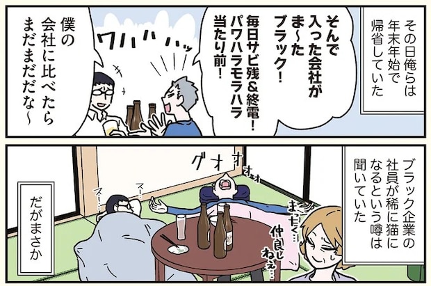 16258193.webp
