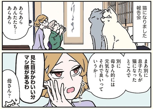16258196.webp