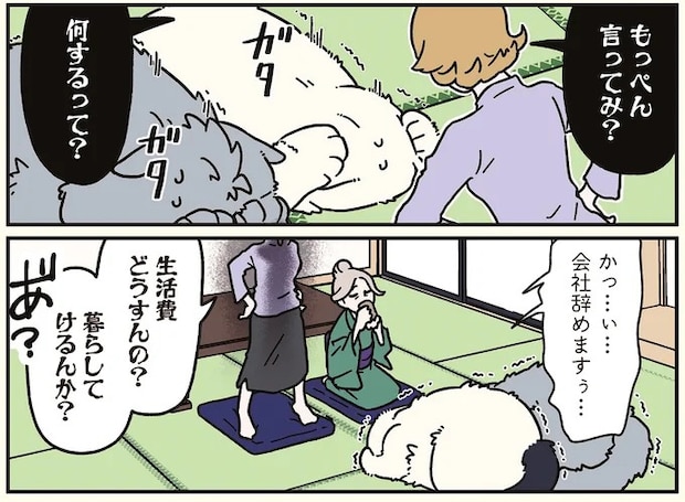 16258199.webp