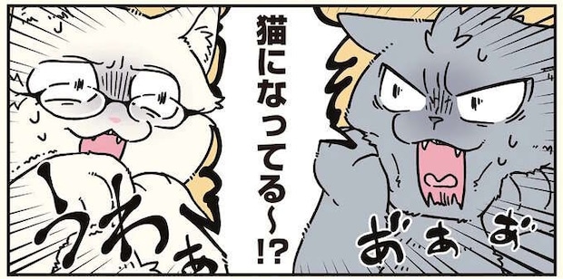 実家で会社のブラック自慢をしていた兄と弟。目覚めたら猫に!?／ブラック企業の社員が猫になって人生が変わった話8