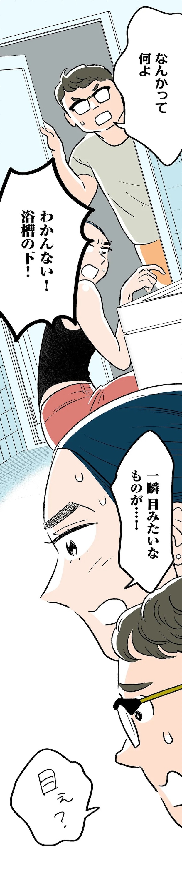 343.webp