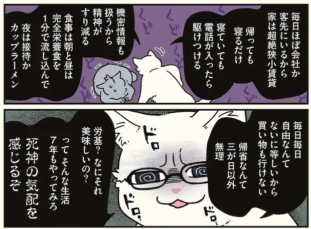 16258986.webp