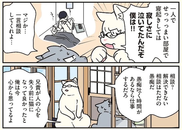 16258988.webp