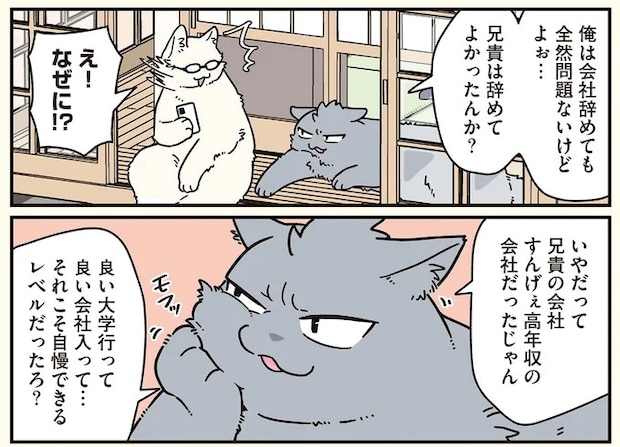 16258984.webp