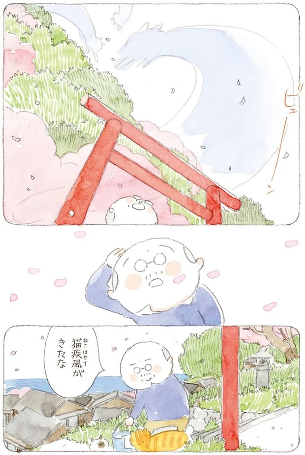 16341661.webp