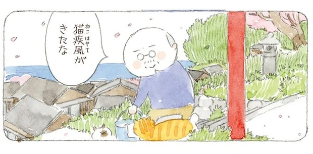 「海は荒れとるだろうなぁ」島の春に吹く猫疾風。まるで猫が駆け抜けていったよう/ねことじいちゃん12
