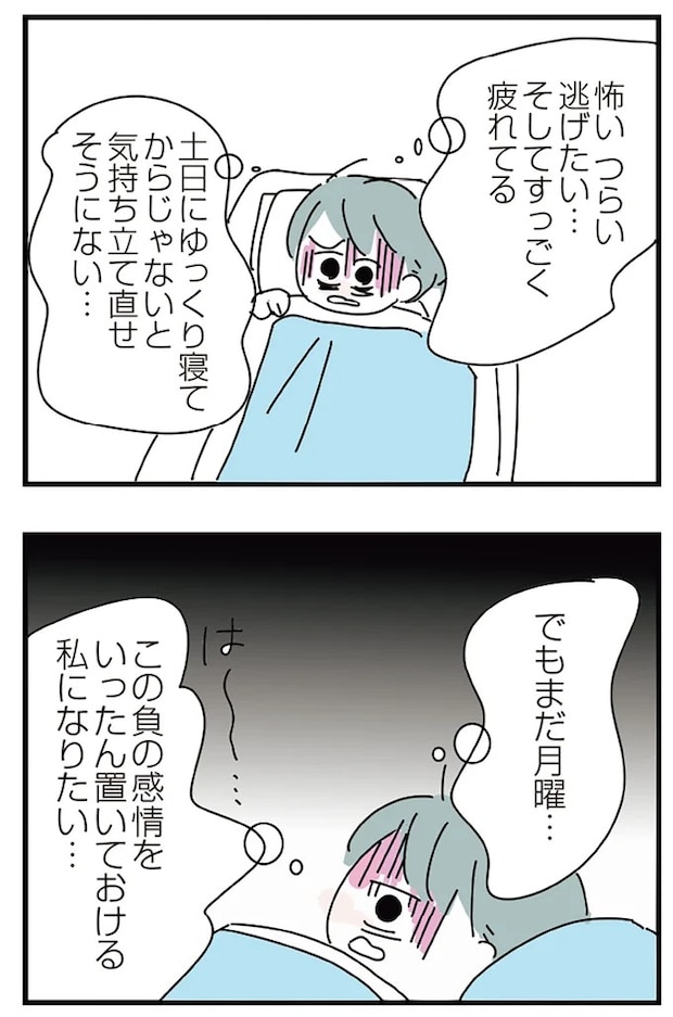 16298853.webp