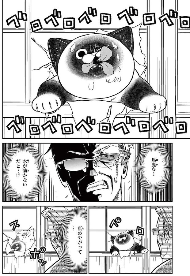 16199615.webp