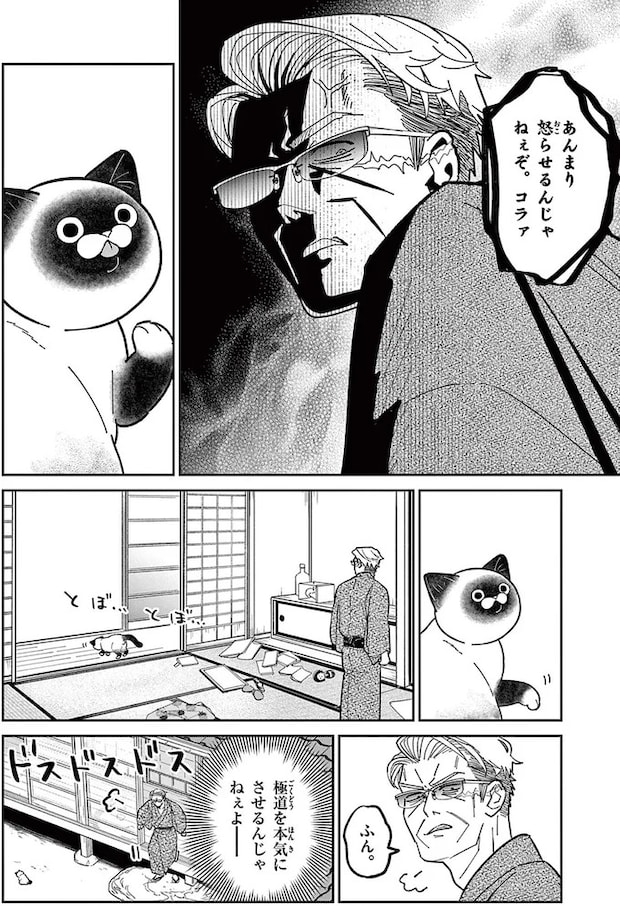 16199619.webp