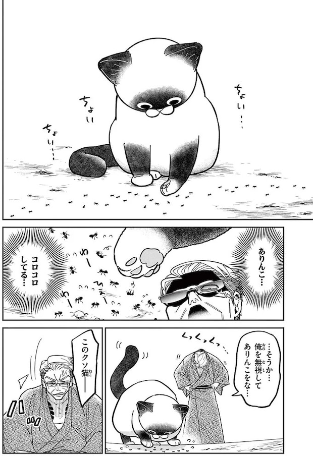 16199603.webp