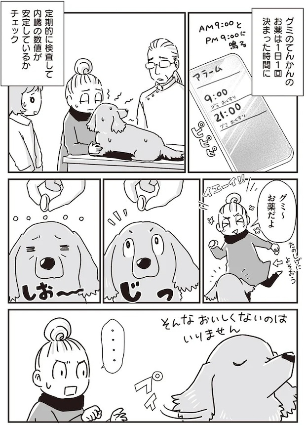 16295638.webp