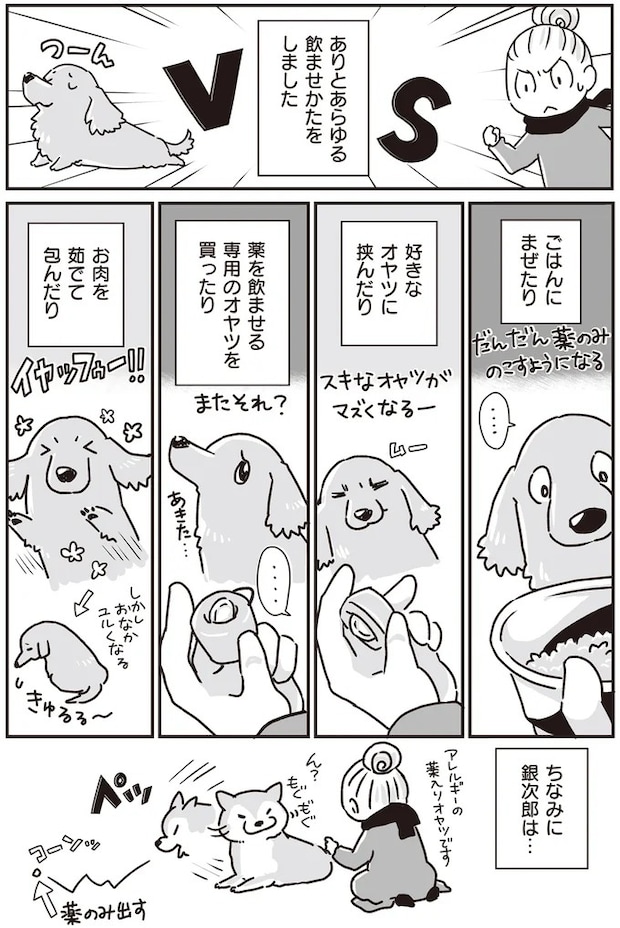 16295639.webp