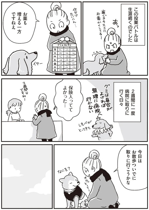 16295641.webp