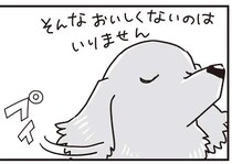 ミニチュアダックスVS飼い主。生涯続いた投薬バトル／愛犬グミと銀次郎と過ごした日々