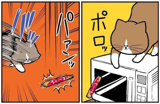 猫たちのおやつ争奪戦! 飼い主が目撃した「悲しい結末」とは?/鴻池剛と猫のぽんた 4