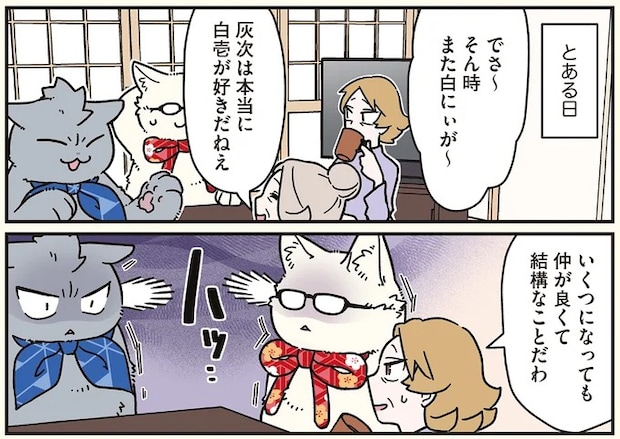 16258953.webp