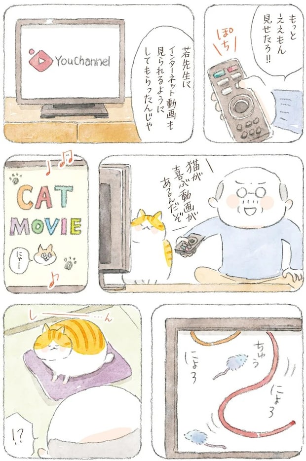 16341787.webp