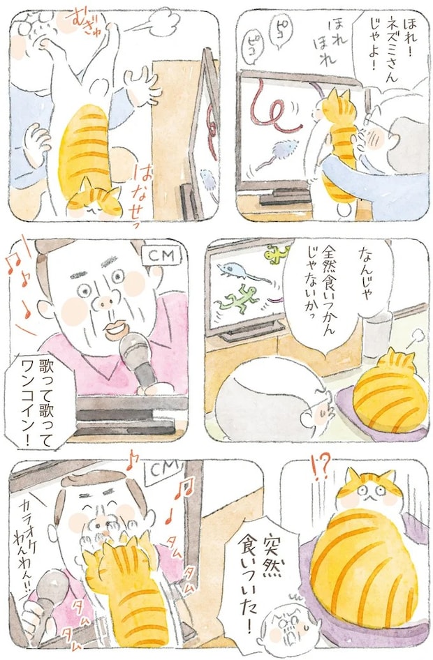 16341788.webp