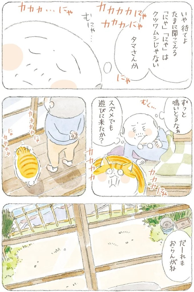 16341784.webp